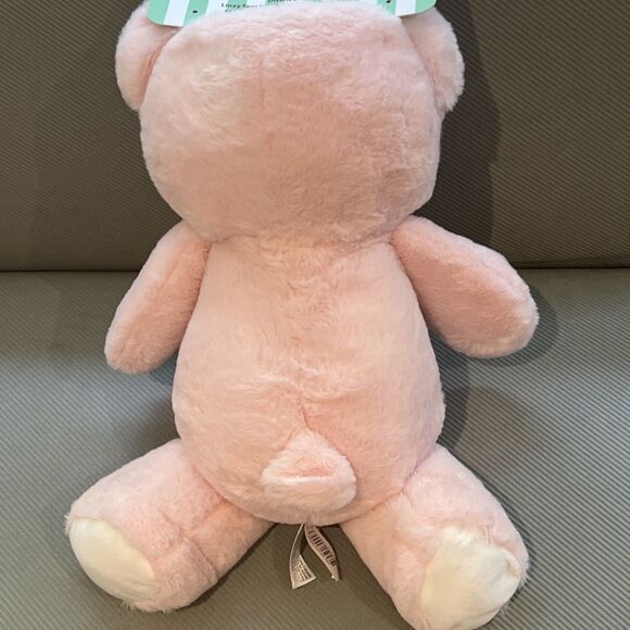Linzy Baby Pink My First Bear Rattle Plush Toy Embroidered Stuffed Animal 15” - Picture 9 of 13